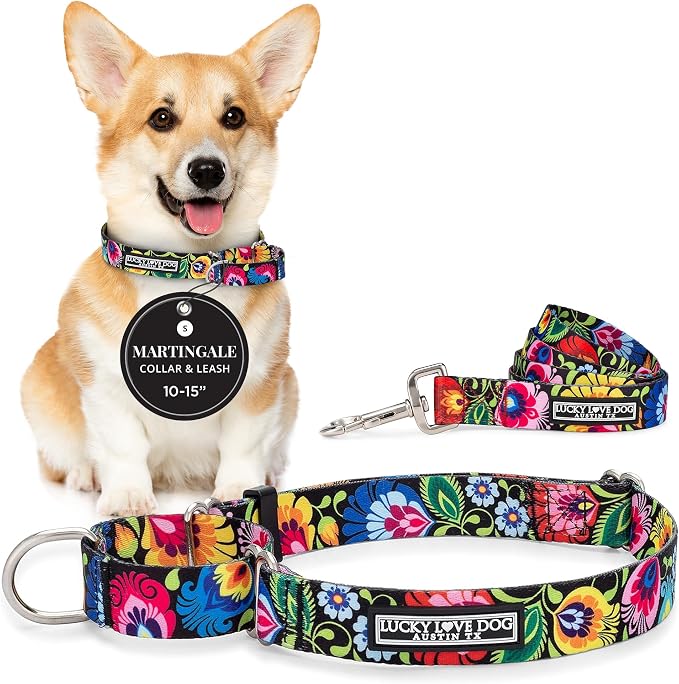 Lucky Love Dog Martingale Collar & Leash Set No Slip – Blackbird, Small