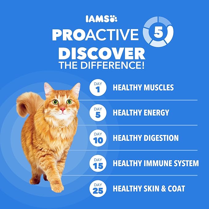 IAMS Healthy Enjoyment Dry Cat Food, Chicken & Salmon Recipe, 15 lb | Vet-recommended, Real Chicken #1 ingredient, Natural fiber & prebiotics, Supports Immune & Digestive Health, Muscle Care