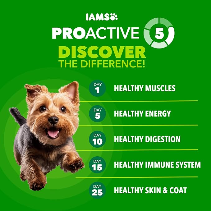 IAMS Proactive Health Small Breed Dry Dog Food, Chicken & Grain, 15 lb | Real Chicken #1 Ingredient, Small Kibble for Small Mouths, Natural Fiber & Prebiotics, No Fillers or Artificial Flavors
