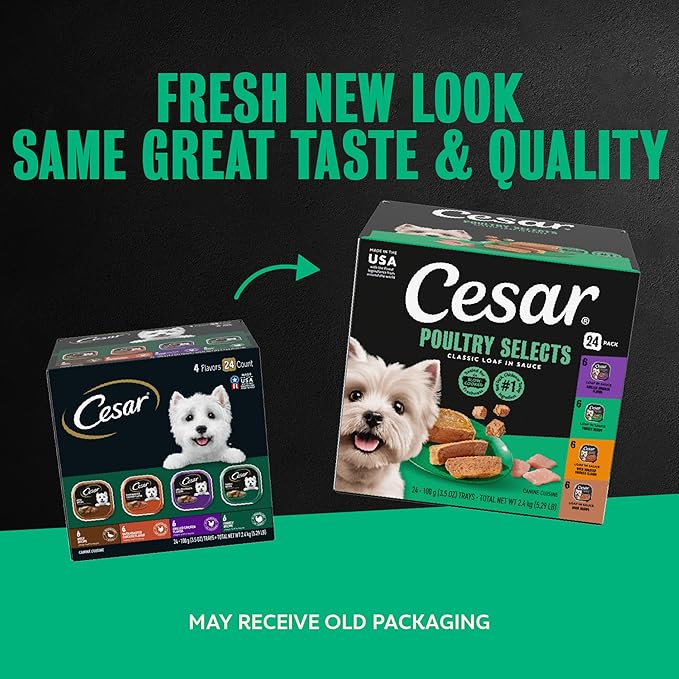 Cesar Classic Loaf in Sauce Wet Dog Food, Poultry Selects, 3.5 oz, 24 Count | Made in USA, Duck, Chicken & Turkey recipes, real poultry #1 ingredient, no fillers or artificial flavors, easy peel trays