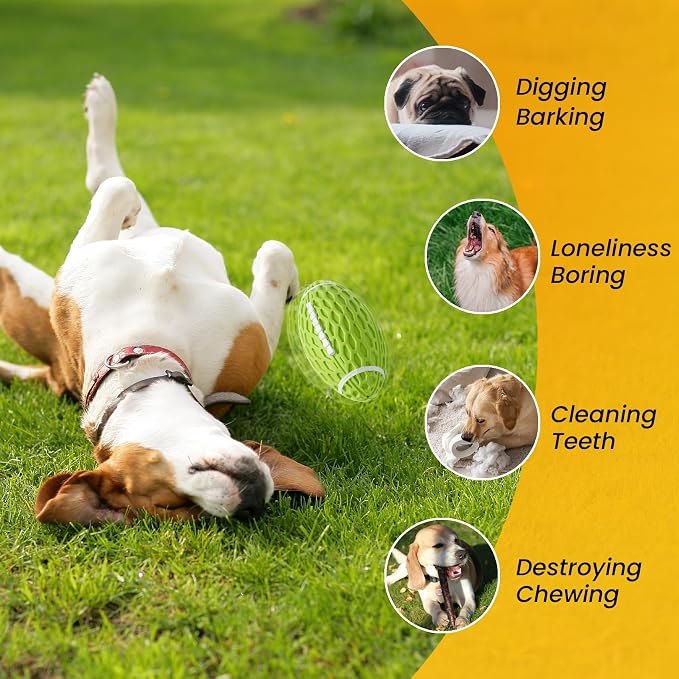 Puppy Toy, Interactive Squeaky Dog Ball Toys for Small Dogs