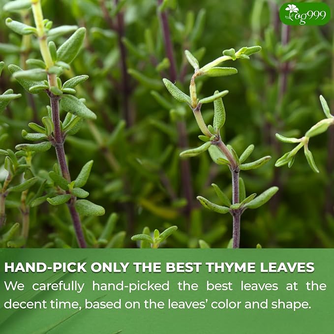 TOG999, Premium 40 Thyme Leaf Tea Bags, 100% Natural & Pure Thyme Leaves. Loose Leaf Thyme Herbal Tea. Thyme Leaf Tea. No Sugar, No Caffeine, No Gluten, Vegan.