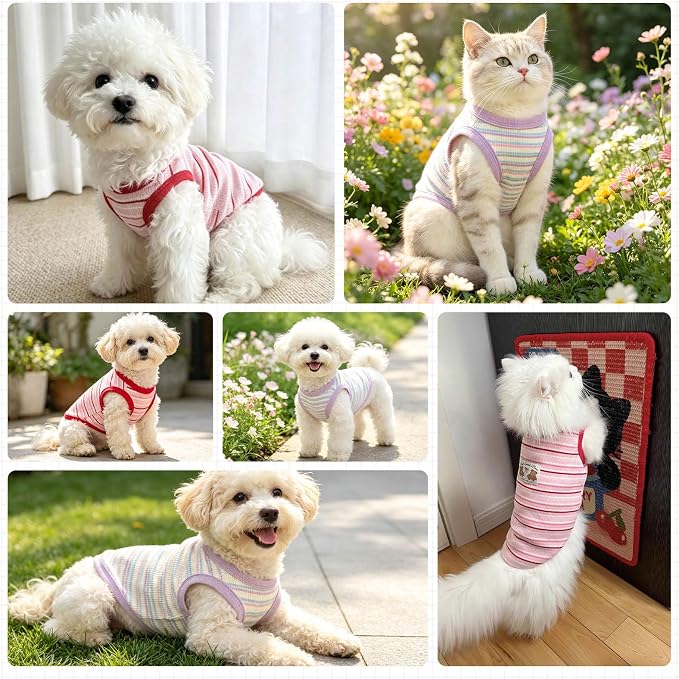 2 Pack Small Dog Shirts Striped Dogs Cats Clothes, Red&Purple M | Soft Pet Tee Shirt, Breathable Dog Outfits with Exquisite Edging, Small Puppy Pajamas Chihuahua Yorki Party Daily Costumes