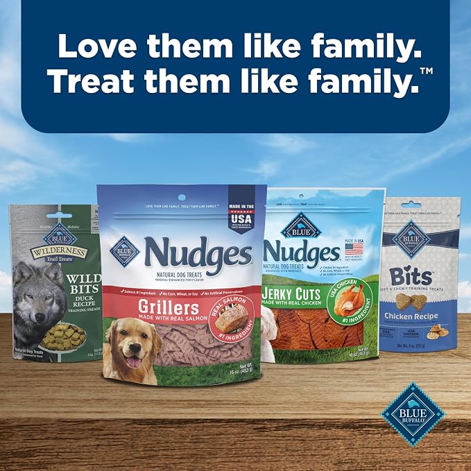 Blue Buffalo Nudges Grillers Salmon Dog Treats, 16 oz | Real Salmon First, Oven-Dried, Easy to Tear, For All Breed Sizes, No Artificial Preservatives