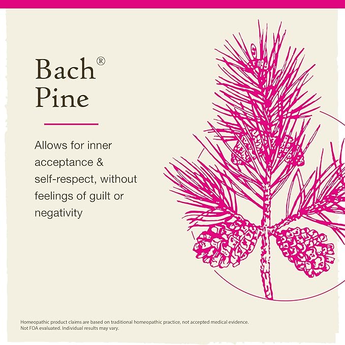 Bach Original Flower Remedies, Pine - Have Self-Respect - Natural Homeopathic Flower Essence for Emotional Balance - Vegan, Gluten Free, Sugar Free - 20mL Dropper