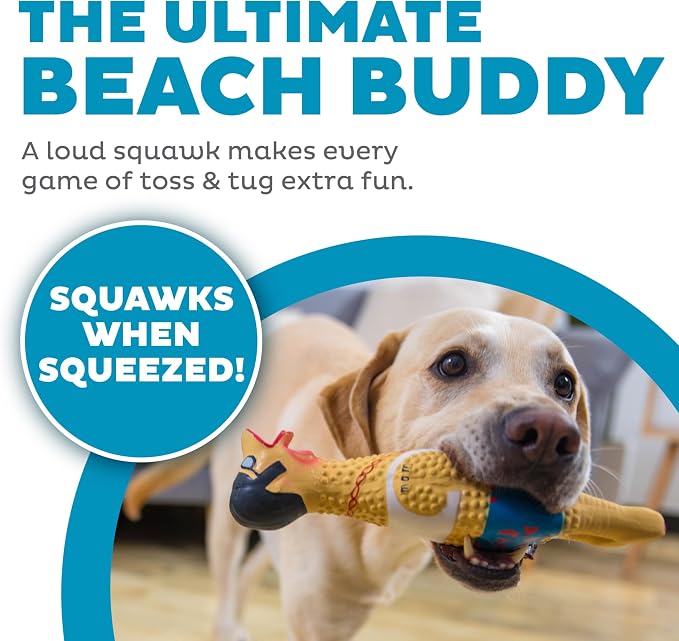 Outward Hound Squawkers Squeaky Latex Dog Toy, Earl, 11.4"