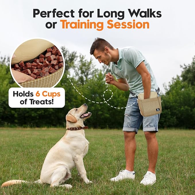 Dog Treat Pouch for Training, Magnetic Dog Walking Bag and Fanny Pack