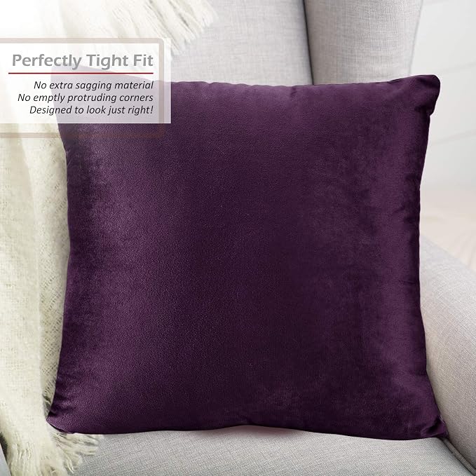 Throw Pillow Inserts Pack of 2 with Velvet Soft Solid Decorative Square Throw Pillow Covers Set for Sofa Couch Car Bedroom, 22X22 Throw Pillows Inserts with 20x20 Washable Cushion Covers, Dark Purple