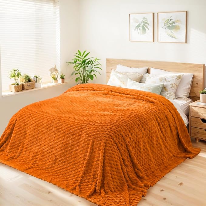 Vessia Flannel Fleece Queen Size Bed Blanket(90x90 inch), 3D Jacquard Burnt Orange Fuzzy and Warm Blanket for Adults, 300GSM Super Soft Touch Cozy Lightweight Home Decor for All-Season