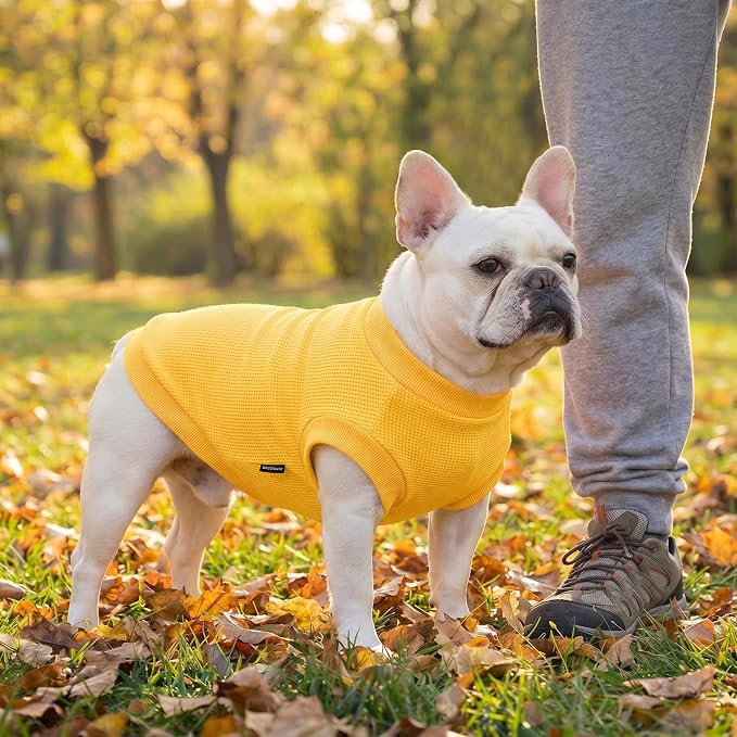1 Pack Dog Shirt for Small Supplies Functional Waffle Dog Clothes Warm Soft Sweatshirt Outfit for Dogs Cats Pet Apparel