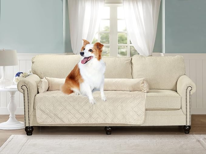 Brilliant Sunshine Beige Natural Velvet Dog Sofa Slipcover, Extra Large | Calming Pet Couch Bed with Removable & Washable Cover, Funiture Protector & Bed Mat for Dogs, Pets, Cats, 54"×32"×8"