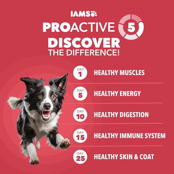 IAMS Proactive Health Minichunks Dry Dog Food, Lamb & Rice, 15 lb | Real Lamb #1 Ingredient, Omega-6 Fatty Acids for Skin & Coat, Natural Fiber & Prebiotics, No Fillers or Artificial Flavors