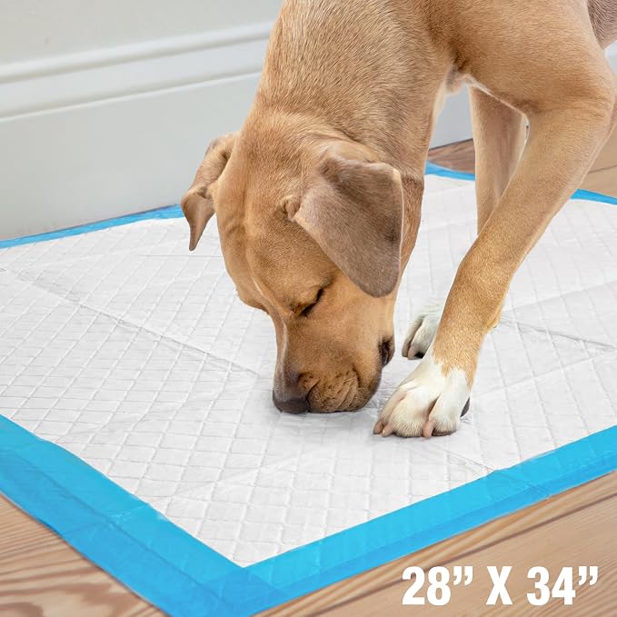 Four Paws Wee-Wee Superior Performance X-Large Dog Pee Pads, 14 Count | Puppy & dog potty training pads, housebreaking supplies, xl puppy pads, pet supplies, 24-hour floor protection, 28" x 34"
