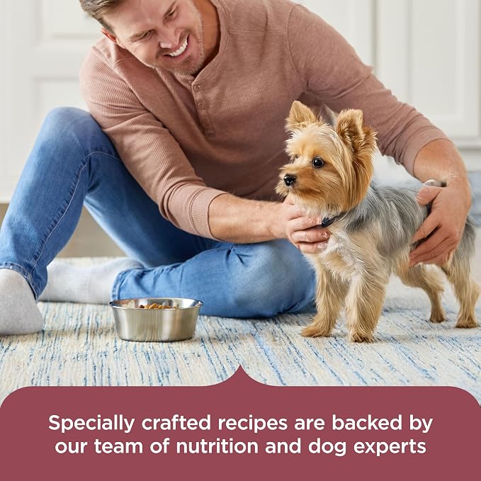 Nutrish Rachael Ray Dry Dog Food Small Breed Real Chicken & Veggies Recipe, 5 lb. Bag (Pack of 2)
