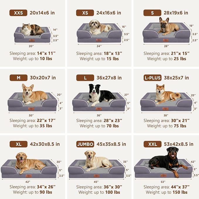 Comfort Expression Waterproof Orthopedic Dog Bed for Extra Large Dogs | Supportive Egg Crate Foam XL Pet Bed with Removable Bolster, Dog Couch with Washable Cover & Non-Slip Bottom, 42x30 Inch