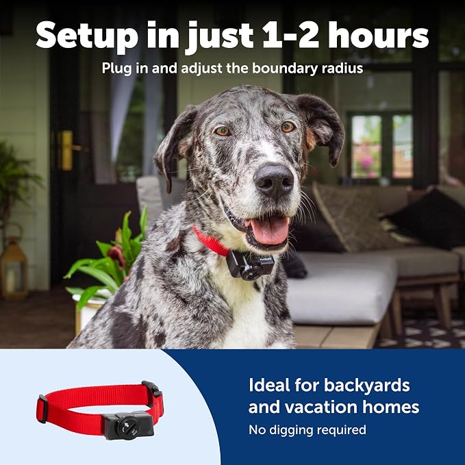 PetSafe Wireless Fence Pet Containment System, 2 Dogs, Up to 1/2 Acre | No Wire to Bury, Adjustable Circular Boundary, Kit Includes 2 Receiver Collars and Boundary Flags, Portable, Dogs 5 lb+