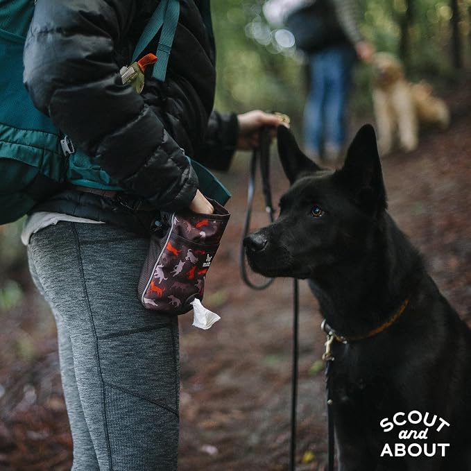 P.L.A.Y. Scout & About Deluxe Training Treat Pouch with Bag Dispenser - 3 Way Wear, Detachable & Adjustable Strap, Reflective Strips, Water-Resistant Back Zipper Pocket, Squeaker (Mocha)