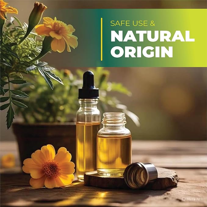 Tagetes Essential Oil – 100% Pure Steam Distilled from Tagetes minuta Flowers | Sweet, Citrusy Aromatherapy Oil for Relaxation & Massage | Top Note | Natural & Undiluted | India | 1 Fl Oz
