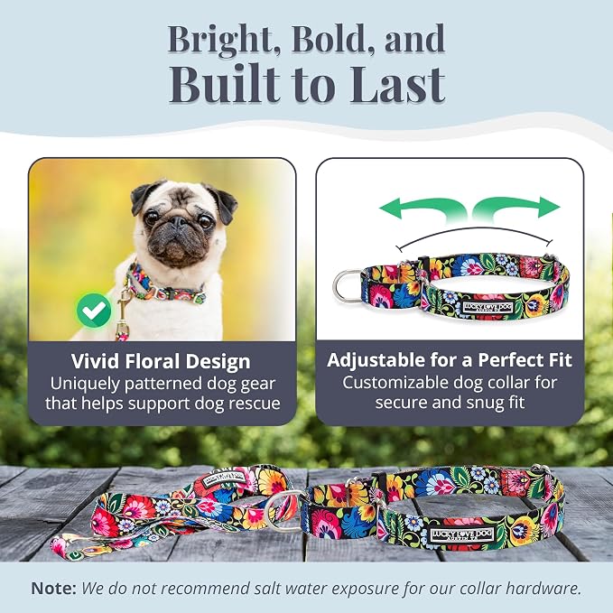 Lucky Love Dog Martingale Collar & Leash Set No Slip – Blackbird, Small