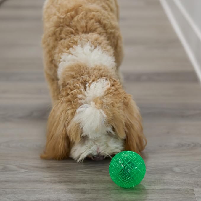 SPOT Dura-Brite Treat Ball - Treat Dispensing Dog Toy Made with Durable TPR Rubber, Interactive Slow Feeder Puzzle Ball, Prevents Boredom and Makes Mealtime Fun - 3in, Assorted Colors