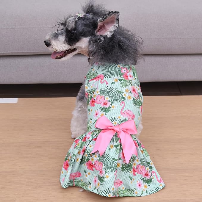 CuteBone Dog Mesh Dress Puppy Sundress Pet Outfit Summer Fashion for Small Dogs Girl Cat Clothes