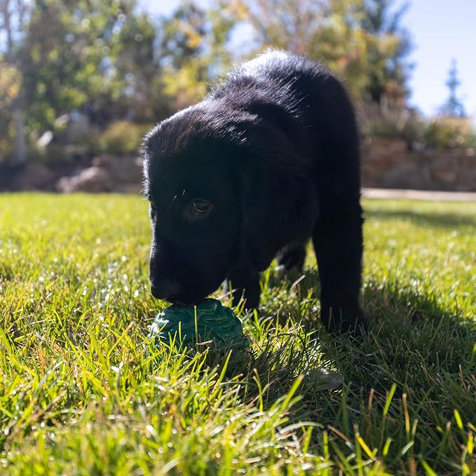 PetKORE Luna Ball - 4" Large, Green, Dog & Puppy Toy, Flexible Rubber, Teething & Chewing, Tactile Surface, Bounce & Fetch, Pet Indoor-Outdoor Play