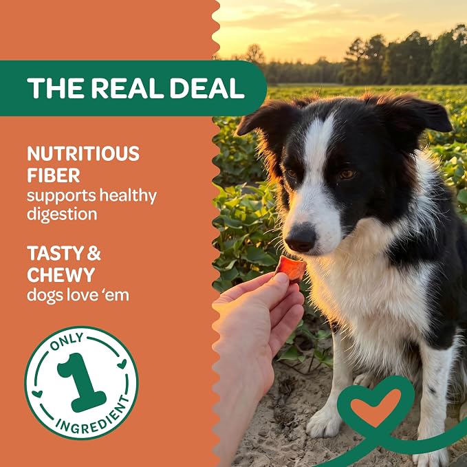 Wholesome Pride Sweet Potato Bites Healthy Dog Treats, 1 Ingredient, 16 oz | No Preservatives, 100% Sweet Potato, Gently Dehydrated, Supports Digestion, No Grain or Gluten, Training & Rewarding