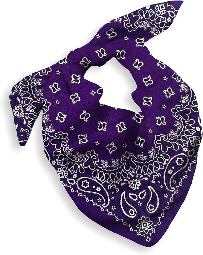 Gift Packaging Bandana for Men Women - 100% Cotton, Paisley, 22x22 In, 1 Pack - Large Bandanna Handkerchief Cowboy Hanky