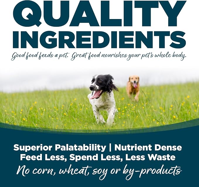NutriSource Adult Dry Dog Food, Small Bites, Chicken and Rice, 12LB | Probiotic & Prebiotic Support, Grain Inclusive, No Corn Wheat or Soy