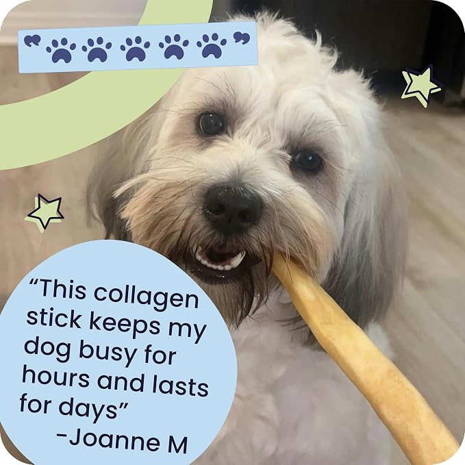 Pawstruck Natural 5-7" Beef Collagen Sticks for Dogs – Long-Lasting Rawhide Alternative, High Protein & Low Fat with Chondroitin & Glucosamine – 5 Pack | Long-Lasting Chew for Small Dogs to Medium Dogs, Supports Dental Health and Joint Health with Chon...