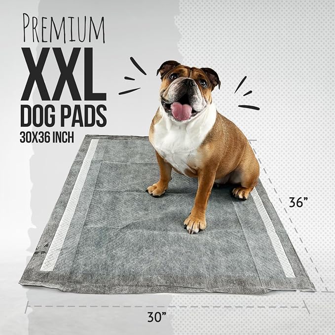 Bulldogology Charcoal XXL Pee Pads for Dogs (30x36) Puppy Pee Pads with Adhesive Sticky Tape - Leak Proof Puppy Pads - Ultra Absorbing Charcoal Dog Pads - Activated Carbon Pee Pads (40-Count)