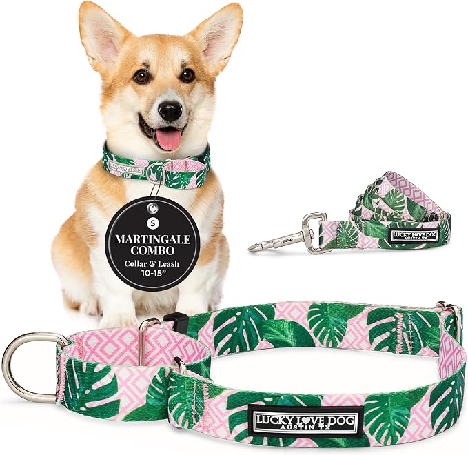 Lucky Love Dog Martingale Collar & Leash Set No Slip Cute – Laguna, Small