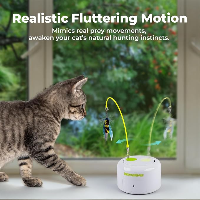 ALL FOR PAWS Interactive Cat Toy, Automatic Fluttering Bug Enrichment Toy for Indoor Kittens, Flying Cat Toy with Motion Sensor, 1 Replacements