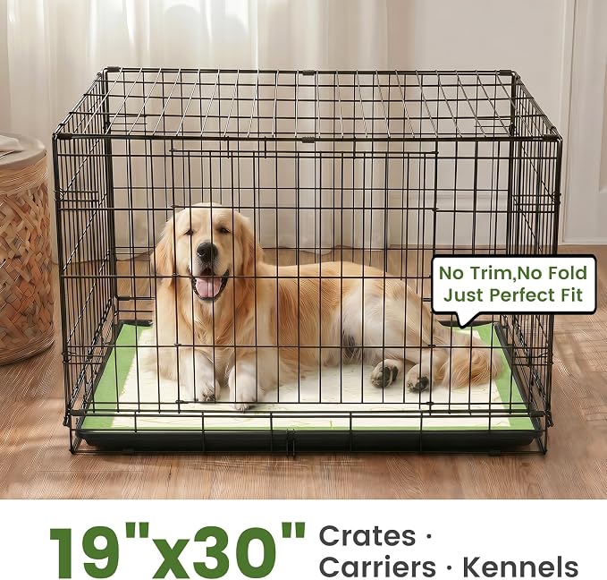 Gardner Pet Pee Pads for Dogs 19"X30" with Adhesive 10 Count, Large Disposable Dog Pee Pads, Non-Slip Puppy Training Pads for Crate/Cage/Carrier
