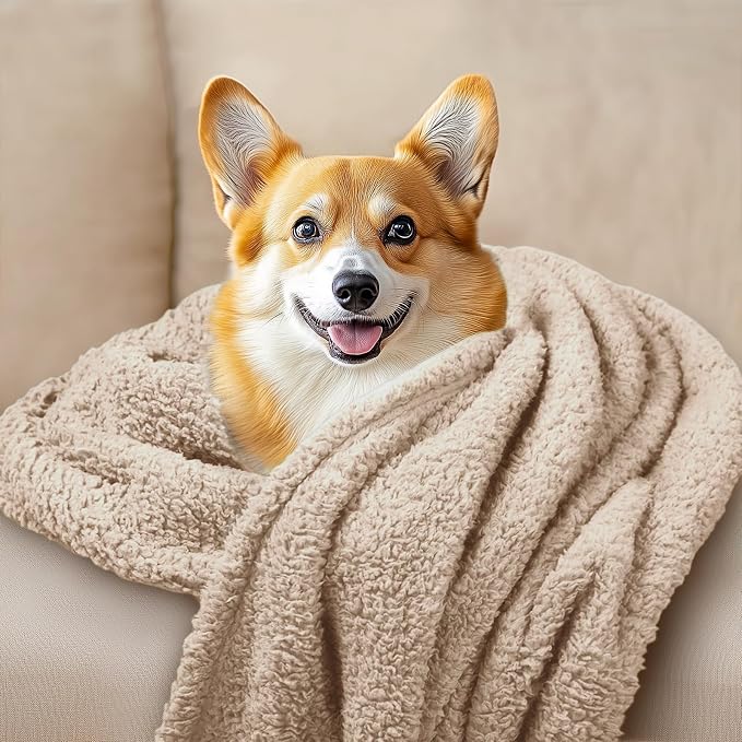 3 Pack 3 Calming Blankets Fluffy Premium Fleece Pet Blanket Soft Sherpa Throw for Dog Puppy Cat Beige Small (23" x16'')