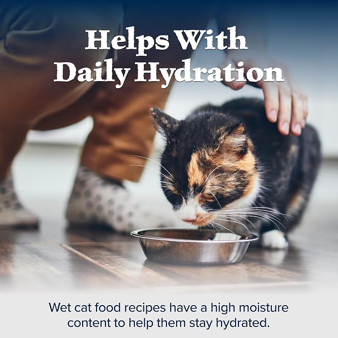 Blue Buffalo Wilderness Salmon Paté Adult Wet Cat Food, 5.5 oz, 24 ct | Real Salmon #1 Ingredients, High Protein & Grain-Free Recipes, Supports Energy for an Active Life