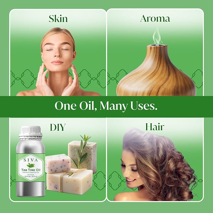 Siva Tea Tree Essential Oil 16 Fl Oz – for Diffuser, Skin & Hair Care – Ideal for Massage & DIY Blends