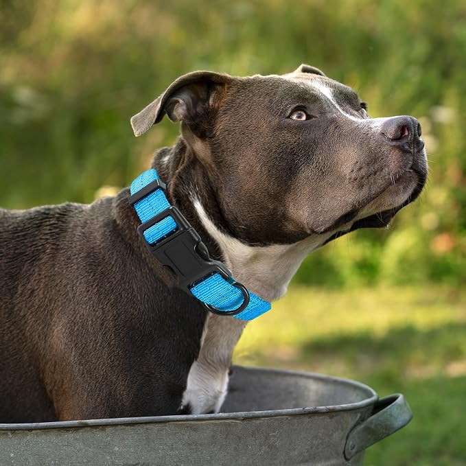 Mile High Life Reflective Dog Collar, Adjustable Lightweight Quick Release