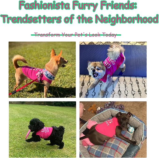 Dog Clothes Fashionable Sleeveless Pet Vest: 'Little Miss Sassy' Printed Cotton Dog Shirt, Ideal for Small, Medium, and Large Breeds, Ensuring Comfort and Breathability Orange L