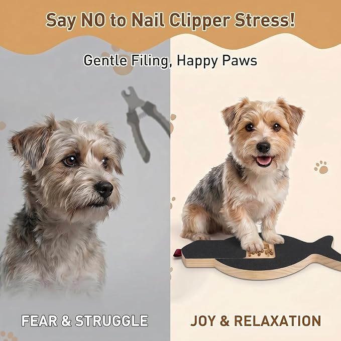 Dog Nail Scratch Board with Treat Drawer, Stress-Free Nail File for Small Medium Large Dogs, Front Paw Scratch Pad Alternative to Clippers, Replaceable Sandpaper Training Tool