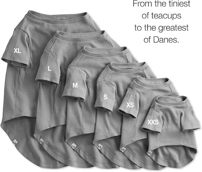 Pet Passion Toby 3-Pack 100% Organic Cotton Dog Short Sleeve T-Shirt Pet Tees for All Breeds, Gray Ombre, X-Small (5-12 lbs)