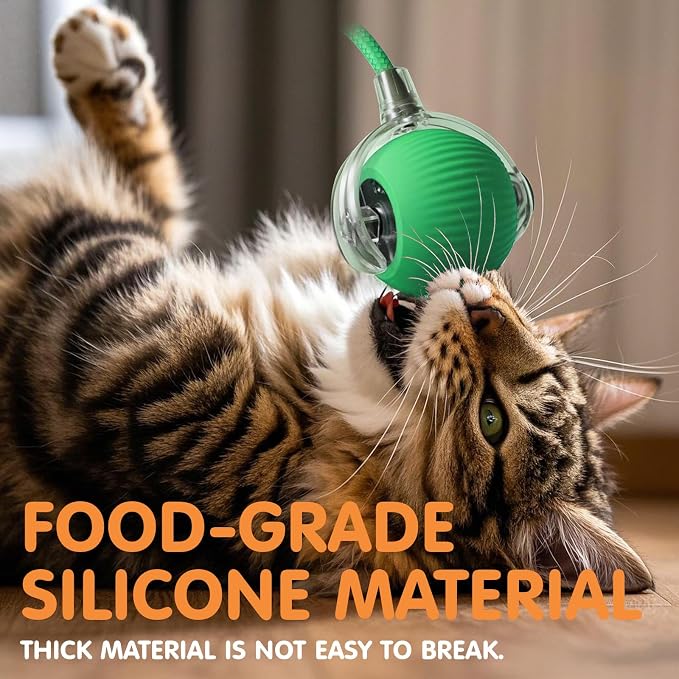 Rocfish Durable Interactive Cat Toys for Indoor Cats (Green, 01)