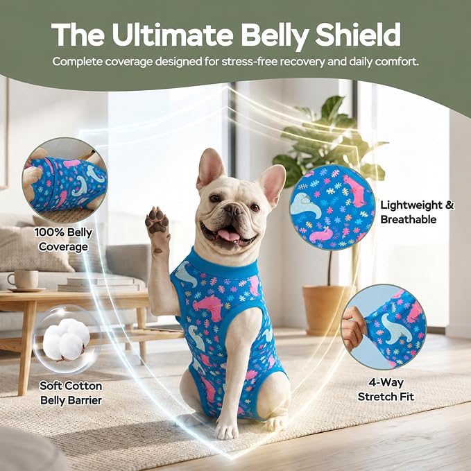 PetWarm Dog Recovery Suit After Surgery, Dog Bodysuit, Substitute E-Collar and Cone, Pet Surgery Recovery Suit, Female Male Dog Onesie for Spay Neuter, Dinosaur Pattern, Multi-Colored, 2XL