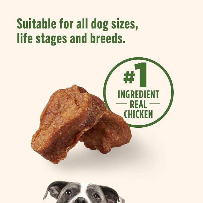 Nutrish Savory Roasters Dog Treats with Chicken, 30 oz. Pouch (Rachael Ray) | Grain Free Recipe with No Added Corn or Soy Ingredients, Veterinarian Reviewed Formula, Resealable Bag