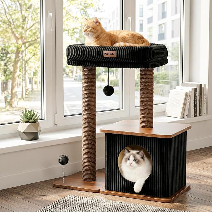 Small Cat Tree for Indoor Kittens, 30" Compact Modern Cat Tower | Natural Bamboo Cozy Condo, Soft Padded Perch, Sisal Scratching Post, Dangling Ball Toy, Stable Base, for Cats up to 15 lbs