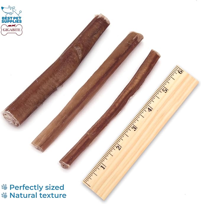 GigaBite Bully Sticks for Dogs All Natural Beef Pizzle Dog Chews, Odor & Rawhide Free Dog Treats, Long Lasting High Protein Chews Digestible Dental Dog Treat - Sticks (Slim 6"), Pack of 25