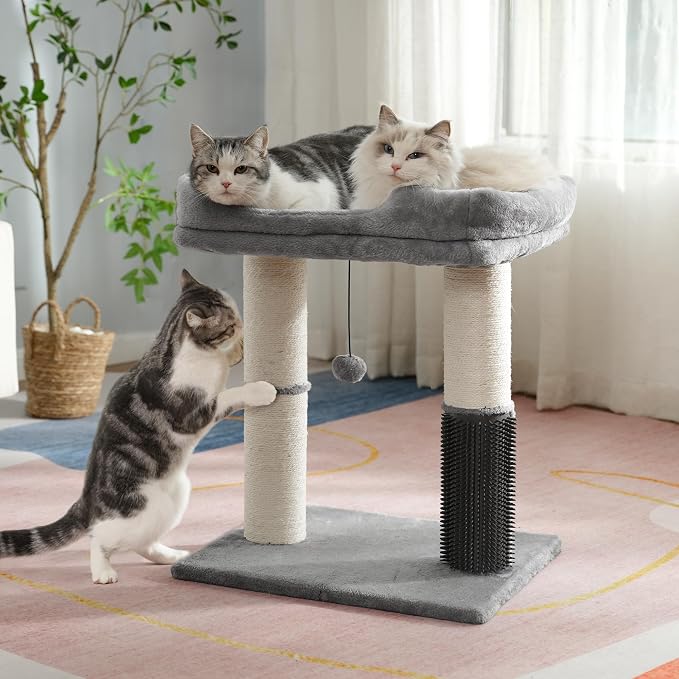 Cat Tree Tower for Large Cats Cat Scratching Post with Bed 20X16” | Small Cat Tree with Thick Scratching Post 4.5” Dia, Large Raised Bed 20X16”, Self Groomer, Toy Ball for Indoor& Large Cats
