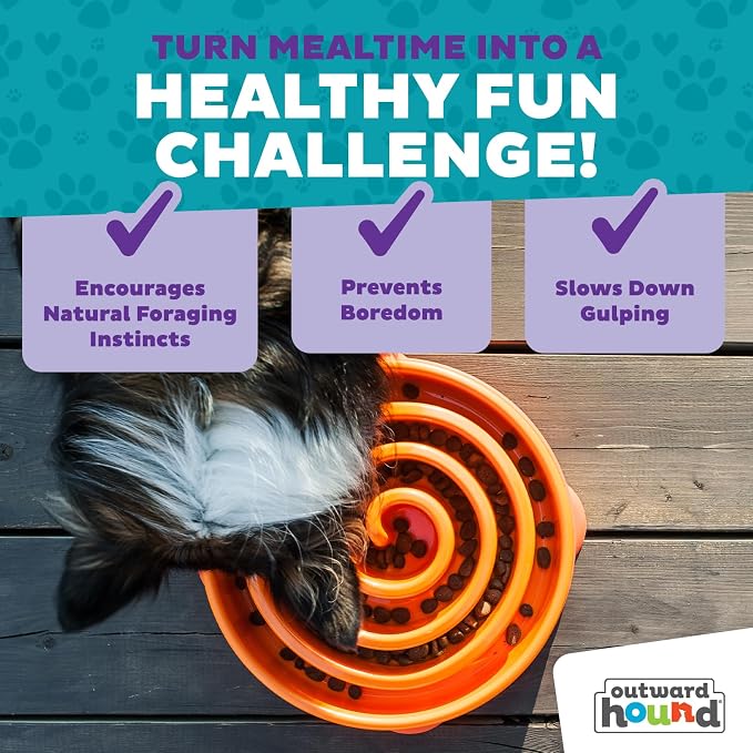 Outward Hound Fun Feeder Slo Bowl – Large 4‑Cup Capacity,Slow Feeding,Medium to Large Dogs,Non‑Slip,Orange,Swirl Pattern,(Pack of 6)