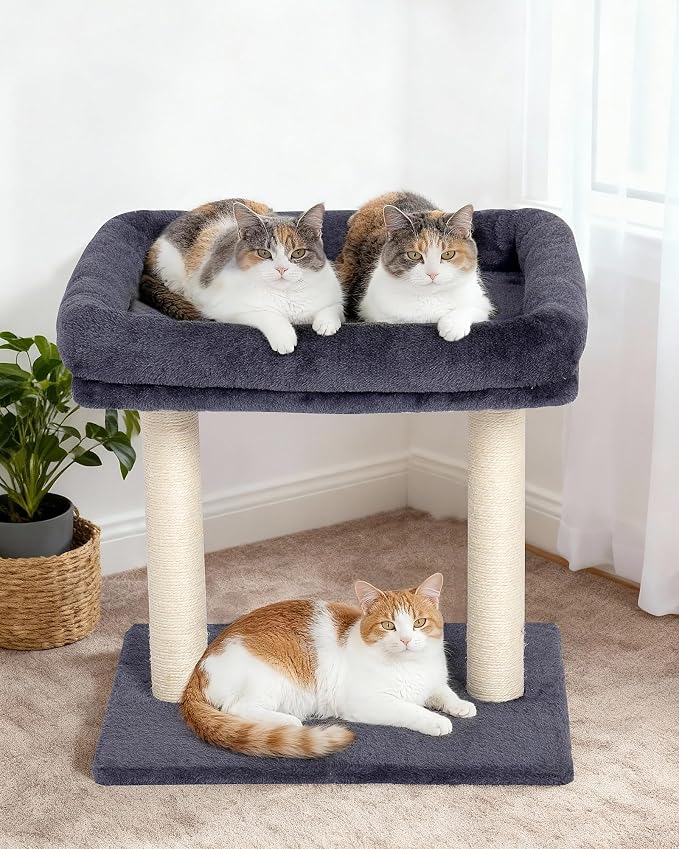 19" Small Cat Tree with Scratching Post for Indoor Cats with Perch | Dark Gray, Removable 19"×15.8" Perch Bed, Dual Natural Sisal Scratcher,Small Cat Tower,Space-Saving