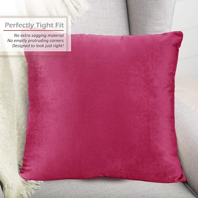 Throw Pillow Inserts Pack of 2 with Velvet Soft Solid Decorative Square Throw Pillow Covers Set for Sofa Couch Car Bedroom, 20X20 Throw Pillows Inserts with 18x18 Washable Cushion Covers, Hot pink